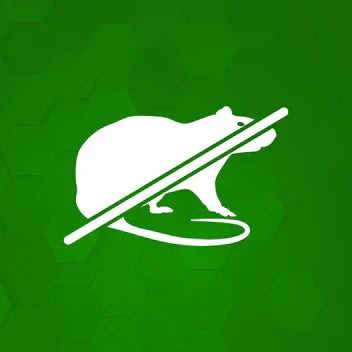 Souris et rats Image